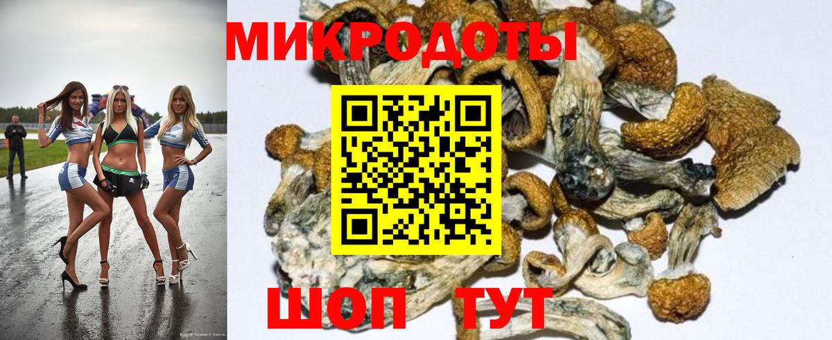 Псилоцибиновые грибы мицелий Ртищево