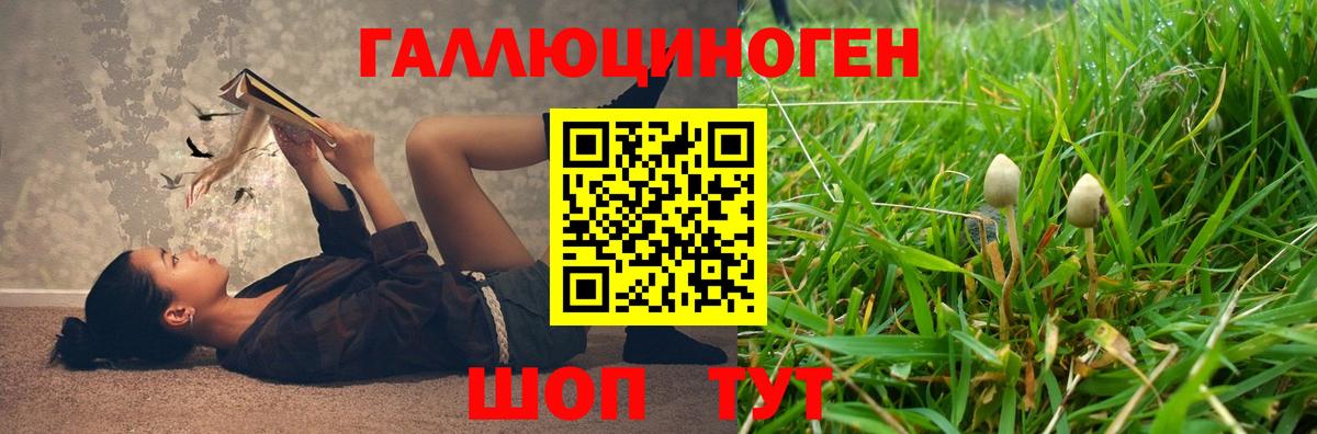 Псилоцибиновые грибы MAGIC MUSHROOMS  Вход с VPN  Ртищево 